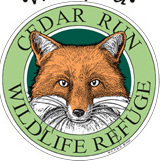 Family Day - Water Works! - logo